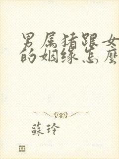 男属猪跟女属猴的姻缘怎么样封面