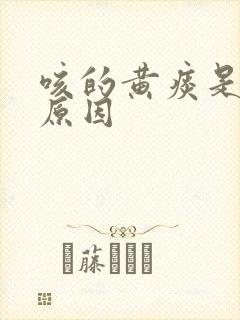 咳的黄痰是什么原因