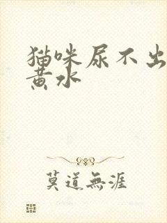 猫咪尿不出来吐黄水封面