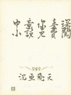 中意你秦琛苏沫小说免费阅读