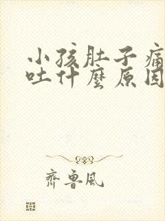 小孩肚子痛还呕吐什么原因引起的