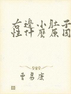 右边小肚子痛女性什么原因引起的