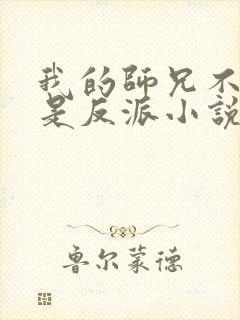 我的师兄不可能是反派小说