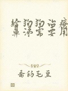 给狗狗治疗流黄鼻涕需要用什么药