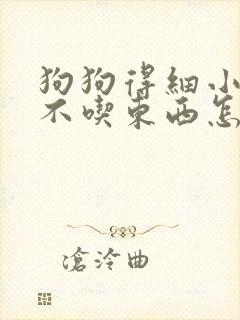 狗狗得细小好转不吃东西怎么办封面