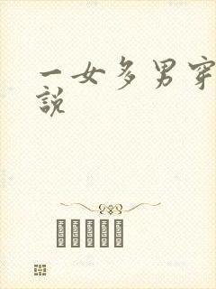 一女多男穿越小说封面