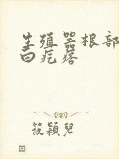 生殖器根部有小白疙瘩