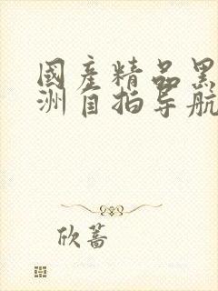 国产精品黑丝亚洲自拍导航