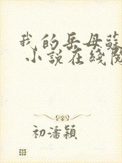 我的岳母苏沛真 小说在线阅读