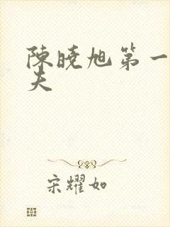 陈晓旭第一任丈夫