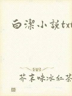 白洁小说txt