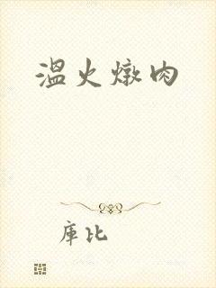 温火炖肉