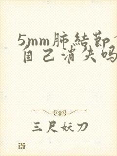 5mm肺结节会自己消失吗