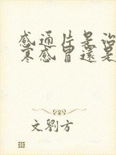 感通片是治疗风寒感冒还是风热感冒封面