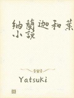 纳兰迦和叶观的小说