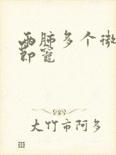 两肺多个微小结节灶封面