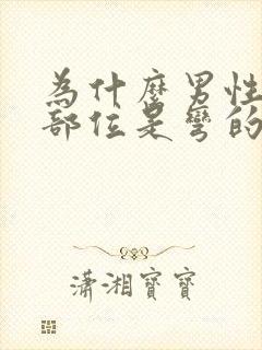 为什么男性生殖部位是弯的