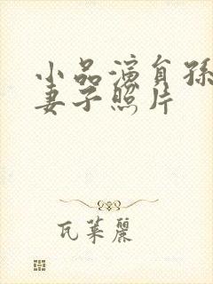 小品演员孙涛的妻子照片