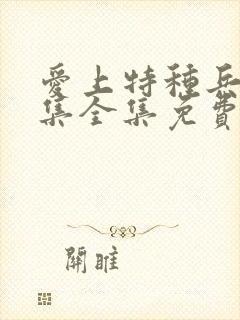 爱上特种兵40集全集免费看封面