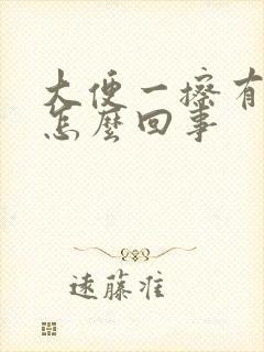 大便一擦有血是怎么回事