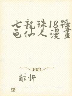 七龙珠18号和龟仙人漫画封面