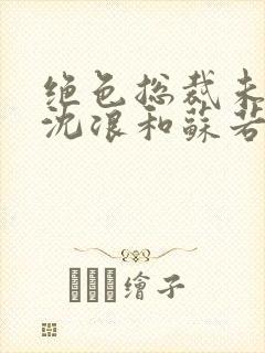 绝色总裁未婚妻沈浪和苏若雪