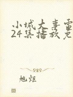 小城大事电视剧24集播放免费观看