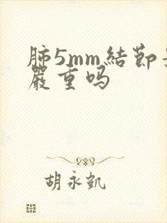 肺5mm结节影严重吗