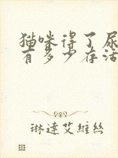 猫咪得了尿闭症有多少存活率封面