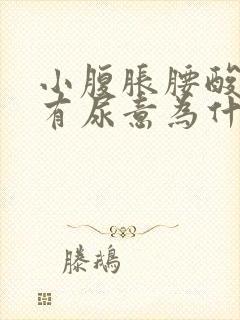 小腹胀腰酸经常有尿意为什么封面