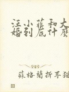 汪小菲和大s离婚到底什么原因封面