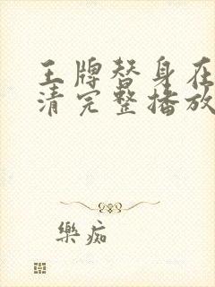 王牌替身在线高清完整播放