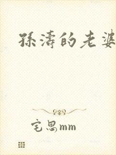 孙涛的老婆简历封面