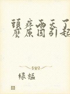 头疼两天了是什么原因引起的封面