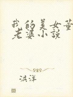 我的美女董事长老婆小说