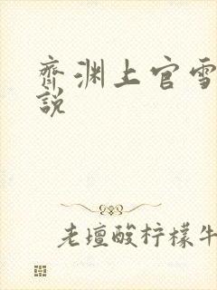 齐渊上官雪的小说封面