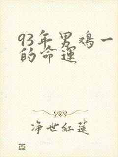 93年男鸡一生的命运