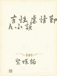 有性虐情节的高h小说