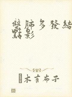 双肺多发结节斑点影封面