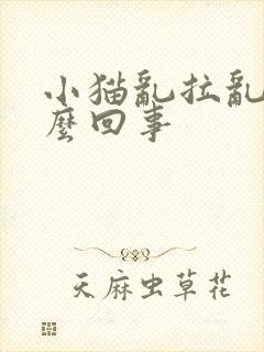 小猫乱拉乱尿怎么回事