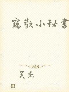 窃欢小秘书