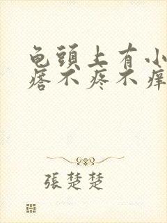 龟头上有小红疙瘩不疼不痒是怎么回事