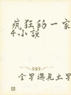 疯狂的一家ps4小说封面