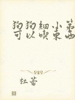 狗狗细小第八天可以吃东西吗封面