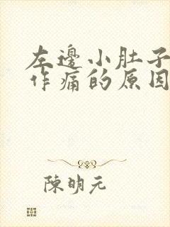 左边小肚子隐隐作痛的原因是啥