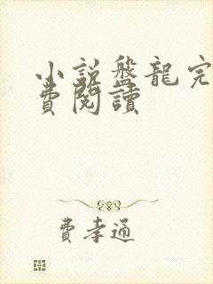 小说盘龙完本免费阅读封面