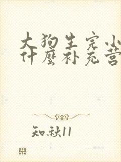 大狗生完小狗吃什么补充营养封面