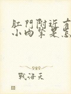 肛门附近有一个小肉揪是怎么回事封面