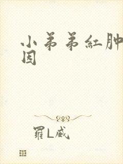 小弟弟红肿痒原因封面