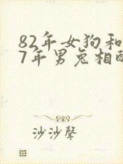 82年女狗和87年男兔相配吗